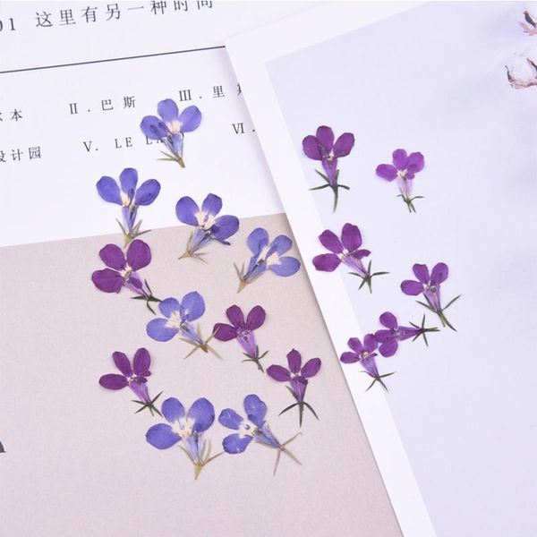 decorative flowers & wreaths 20pcs/bag liu bili flower head dried pressed diy handmade glue mobile phone shell aroma candle material
decorative flowers & wreaths 20pcs/bag liu bili flower head dried pressed diy handmade glue mobile phone shell aroma candle material