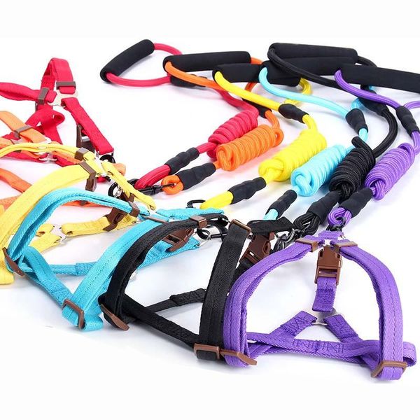 dog collars & leashes solid color pet leash rope fashion woven chest strap back traction for small medium dogs daily walking
dog collars & leashes solid color pet leash rope fashion woven chest strap back traction for small medium dogs daily walking