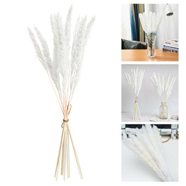 decorative objects & figurines large wedding flowers bunch natural reed dried plant flower bouquet decoration family decor
decorative objects & figurines large wedding flowers bunch natural reed dried plant flower bouquet decoration family decor