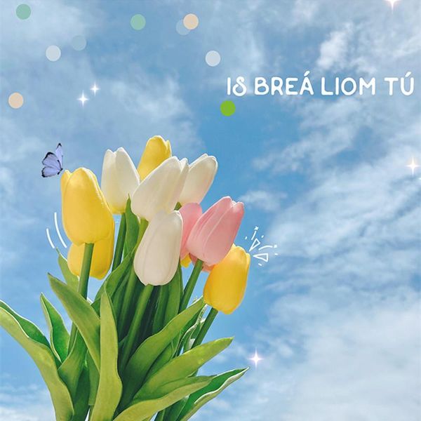 5pcstulip real touch artificial flower bouquets wedding home decor fake pography props decoration materials decorative flowers & wreaths
5pcstulip real touch artificial flower bouquets wedding home decor fake pography props decoration materials decorative flowers & wreaths