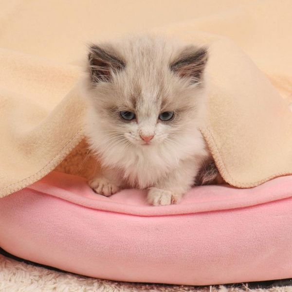 lovely pet dogs cats bed mat blanket soft winter warm fleece design puppy sofa product cushion cover towel . cat beds & furniture
lovely pet dogs cats bed mat blanket soft winter warm fleece design puppy sofa product cushion cover towel . cat beds & furniture