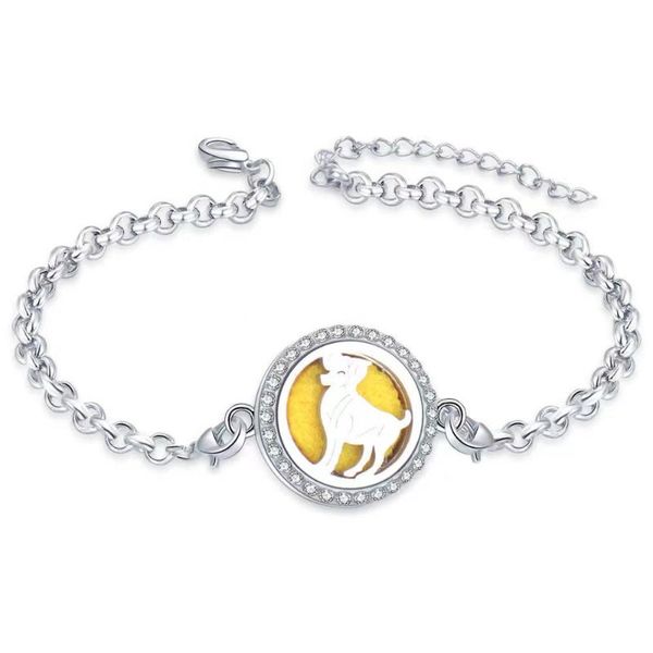 anklets 316l stainless steel sheep essential oil diffuser perfume anti-mosquito locket pendant foot chain, Red;blue
anklets 316l stainless steel sheep essential oil diffuser perfume anti-mosquito locket pendant foot chain, Red;blue