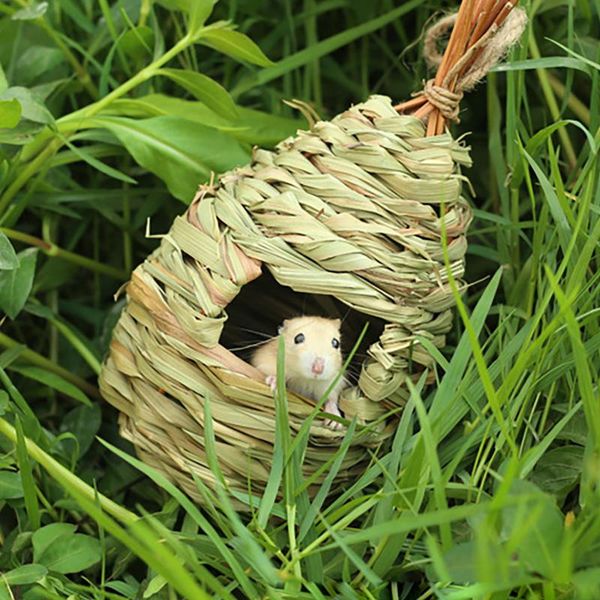bird cages handmade house garden decoration straw parrot nest warm pet bedroom courtyard adornment hamster
bird cages handmade house garden decoration straw parrot nest warm pet bedroom courtyard adornment hamster