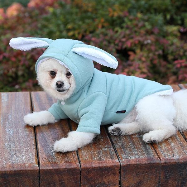 dog apparel cute hooded coat jacket winter warm pet clothes for small dogs sweet ears shape puppy cat clothing costume
dog apparel cute hooded coat jacket winter warm pet clothes for small dogs sweet ears shape puppy cat clothing costume