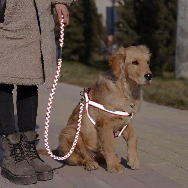 dog collars & leashes small large dogs harness collar nylon reflective leash lead set puppy for medium chihuahua yorkie harnais petit chien
dog collars & leashes small large dogs harness collar nylon reflective leash lead set puppy for medium chihuahua yorkie harnais petit chien