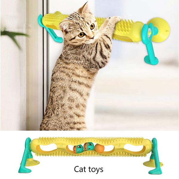 cat toys selling pet supplies toy play with useful product camera track ball turntable educational
cat toys selling pet supplies toy play with useful product camera track ball turntable educational