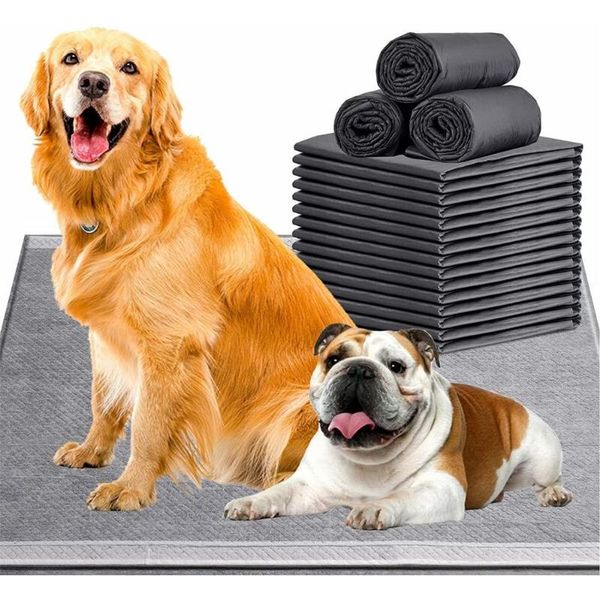 kennels & pens pet training pad super absorbent dog pee diaper soft leakproof cat toilet wee mat quick-dry fresh smell surface for potty
kennels & pens pet training pad super absorbent dog pee diaper soft leakproof cat toilet wee mat quick-dry fresh smell surface for potty