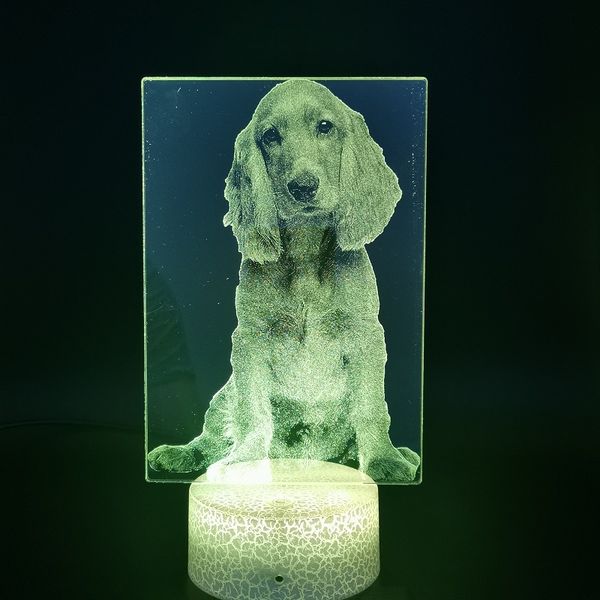 cocker spaniel night sensor light led kids animal 3d desk lamp bedside nightlight pet dog bluetooth speaker birthday holiday gift
cocker spaniel night sensor light led kids animal 3d desk lamp bedside nightlight pet dog bluetooth speaker birthday holiday gift