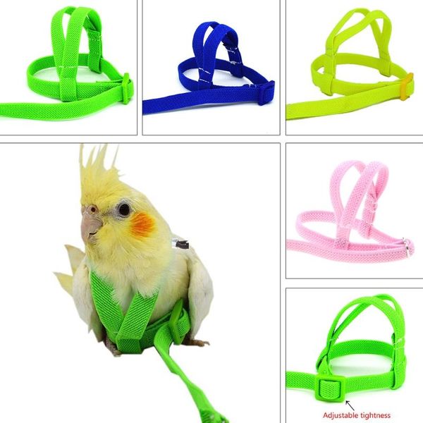 other bird supplies 2m anti bite flying training rope parrot leash ultralight harnesses portable soft band pet supply
other bird supplies 2m anti bite flying training rope parrot leash ultralight harnesses portable soft band pet supply