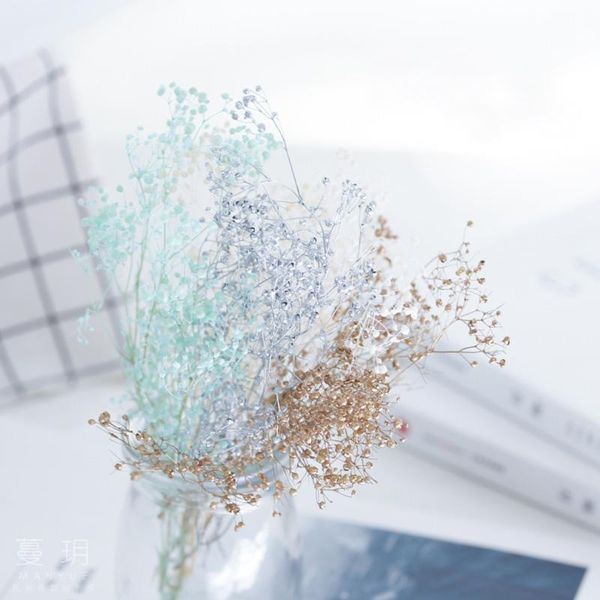 decorative flowers & wreaths diy candle making dried dream grass little gypsophila dry immortal flower soy wax
decorative flowers & wreaths diy candle making dried dream grass little gypsophila dry immortal flower soy wax