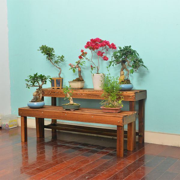 garden decorations plant shelves durable display shelves of natural floral succulents for storage decoration
garden decorations plant shelves durable display shelves of natural floral succulents for storage decoration