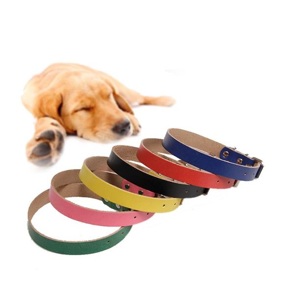 dog collars & leashes collar cowhide adjustable antirust comfortable solid color exquisite metal fasteners pet cats neck decoration accessor
dog collars & leashes collar cowhide adjustable antirust comfortable solid color exquisite metal fasteners pet cats neck decoration accessor