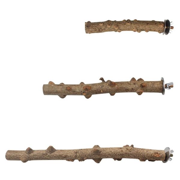 other bird supplies pet parrot standing stick natural wood rod grinding claw toy perch stand holder
other bird supplies pet parrot standing stick natural wood rod grinding claw toy perch stand holder