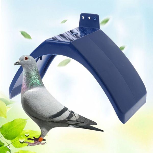 dove rest stand blue frame pigeon perches roost dwelling supplies birds bird cages
dove rest stand blue frame pigeon perches roost dwelling supplies birds bird cages