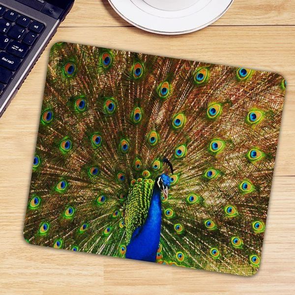 mouse pads & wrist rests peafowl peacock keyboard desk rectangle mice mat lapcomputer gamer mousepad gaming pad natural rubber game maus
mouse pads & wrist rests peafowl peacock keyboard desk rectangle mice mat lapcomputer gamer mousepad gaming pad natural rubber game maus