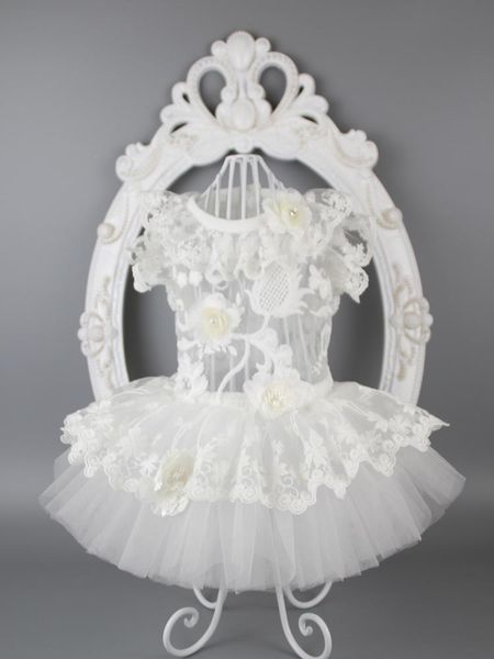 dog apparel wedding dress lace pet clothes tutu cat poodle yorkshire maltese chihuahua
dog apparel wedding dress lace pet clothes tutu cat poodle yorkshire maltese chihuahua