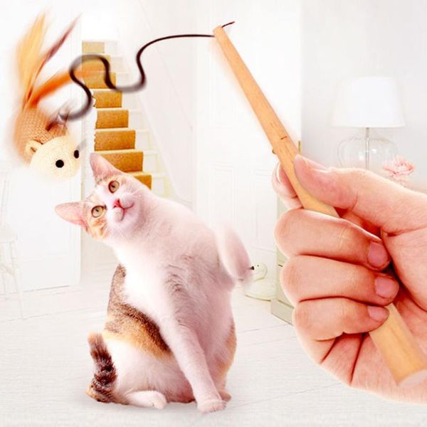 kitten cat pet toy chaser stick mouse fish ball interactive play fun toys for drop 2021
kitten cat pet toy chaser stick mouse fish ball interactive play fun toys for drop 2021
