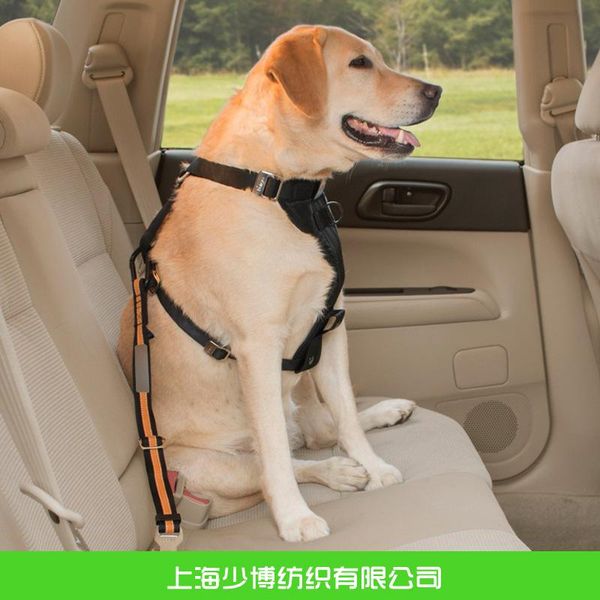 dog collars & leashes pet car seat belt hand leash nylon anti-loss safety suppliesblack and yellow for small medium sized dogs
dog collars & leashes pet car seat belt hand leash nylon anti-loss safety suppliesblack and yellow for small medium sized dogs