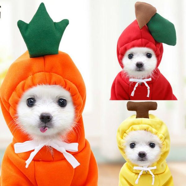 pet dog clothes fruit clothings dogs hoodies super small clothing cute banana carrot print apple cartoon funny winter ropa perro apparel
pet dog clothes fruit clothings dogs hoodies super small clothing cute banana carrot print apple cartoon funny winter ropa perro apparel