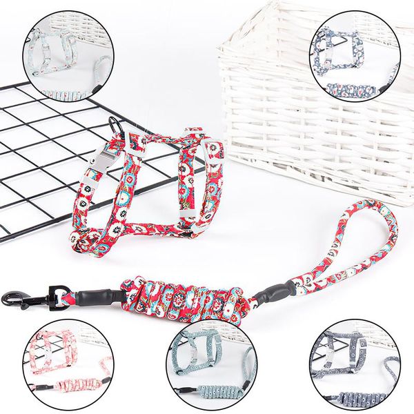 cat collars & leads dog collar harness adjustable pet traction rope kitten halter puppy hand holding safe gentle leader come with me
cat collars & leads dog collar harness adjustable pet traction rope kitten halter puppy hand holding safe gentle leader come with me