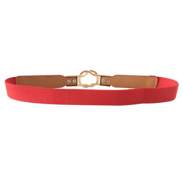 belts practical thin simple decoration stretch elastic fashion daily artificial leather solid women waist belt for dress alloy buckle, Black;brown
belts practical thin simple decoration stretch elastic fashion daily artificial leather solid women waist belt for dress alloy buckle, Black;brown