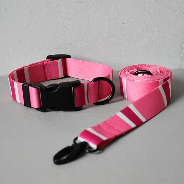 dog collars & leashes chromatic soft collar leash cat pet straps for small medium dogs puppy walking rope drop good quality
dog collars & leashes chromatic soft collar leash cat pet straps for small medium dogs puppy walking rope drop good quality