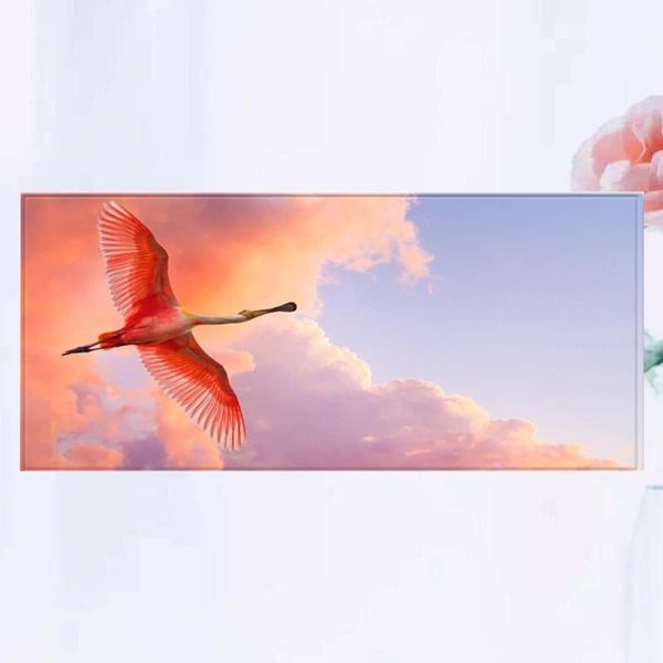 carpets 1pc 60x40cm rectangle doormat flying birds printed carpet anti-slip hallway kitchen mat
carpets 1pc 60x40cm rectangle doormat flying birds printed carpet anti-slip hallway kitchen mat