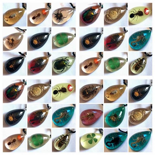 30 pcs real scorpion spider crab four leaf clover mixed real insect colorful back pendant, Slivery;golden
30 pcs real scorpion spider crab four leaf clover mixed real insect colorful back pendant, Slivery;golden
