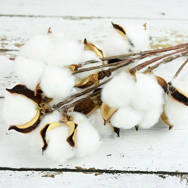decorative flowers & wreaths wedding bridesmaid bouquet decor fake white flower naturally dried cotton home artificial floral branch
decorative flowers & wreaths wedding bridesmaid bouquet decor fake white flower naturally dried cotton home artificial floral branch