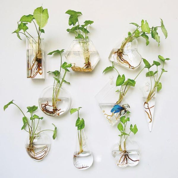 creative wall hanging glass vase flower pots handmade terrarium container home ball decoration hydroponic vases
creative wall hanging glass vase flower pots handmade terrarium container home ball decoration hydroponic vases