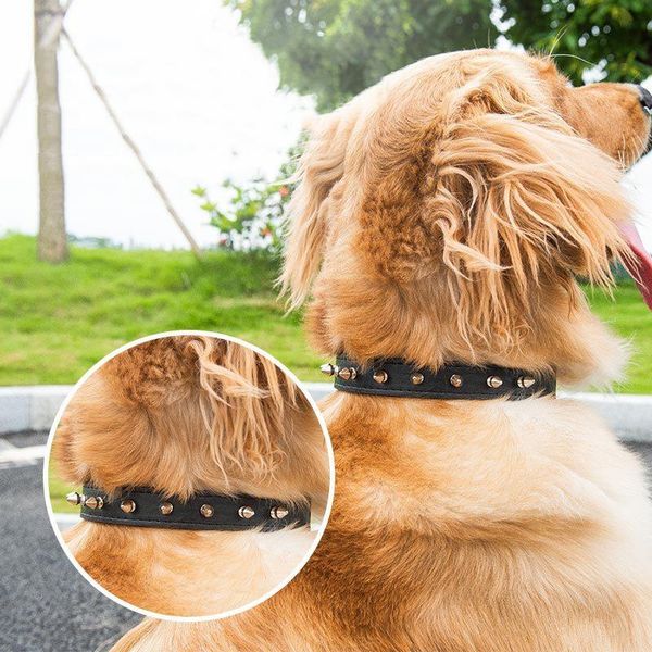 dog collars & leashes for dogs and cats in studded synthetic leather with rivets necklace
dog collars & leashes for dogs and cats in studded synthetic leather with rivets necklace