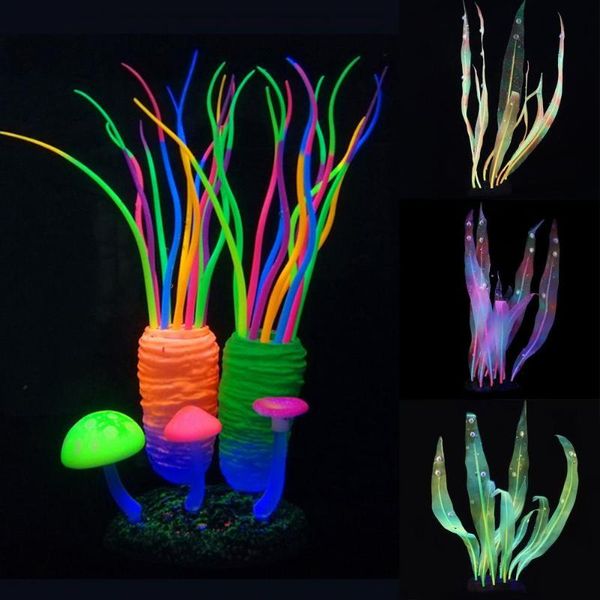 decorations aquarium simulation silicone marine plant fluorescent kelp seaweed fish tank ornament colorful submarine
decorations aquarium simulation silicone marine plant fluorescent kelp seaweed fish tank ornament colorful submarine