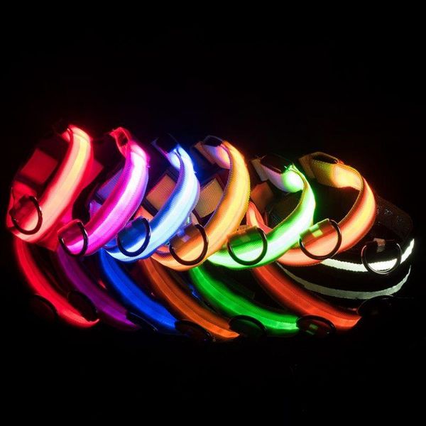 cat collars & leads usb rechargeable led dog collar glow in dark pet waterproof light for small medium large adjustable safety reflect
cat collars & leads usb rechargeable led dog collar glow in dark pet waterproof light for small medium large adjustable safety reflect