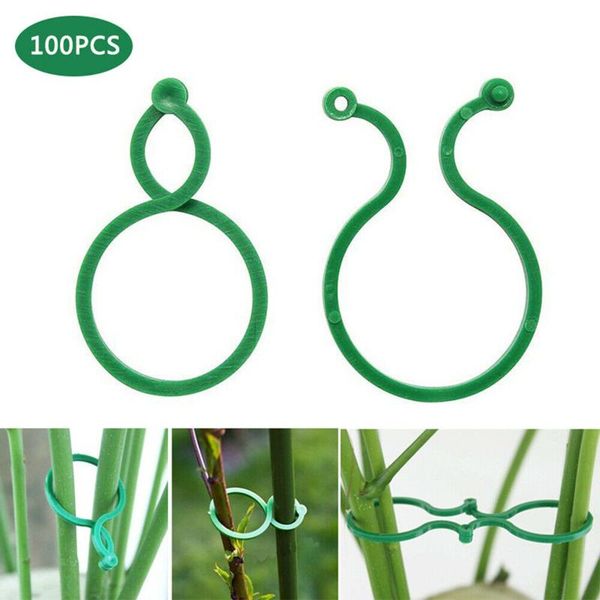 other garden supplies 25# tomato veggies plant support clips for trelliss twines greenhouse set cages supports trellis twine
other garden supplies 25# tomato veggies plant support clips for trelliss twines greenhouse set cages supports trellis twine