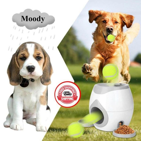 other bird supplies intelligent pet ball launcher toy dog tennis food reward machine slow feeder rewarding feeding train dogs abs material t
other bird supplies intelligent pet ball launcher toy dog tennis food reward machine slow feeder rewarding feeding train dogs abs material t