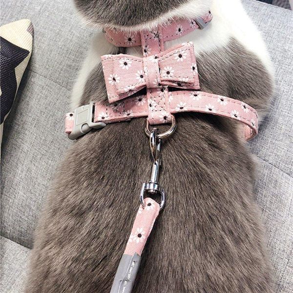 dog collars & leashes adjustable nylon harness leash set puppy bowknot vest walking outdoor pet safety traction
dog collars & leashes adjustable nylon harness leash set puppy bowknot vest walking outdoor pet safety traction
