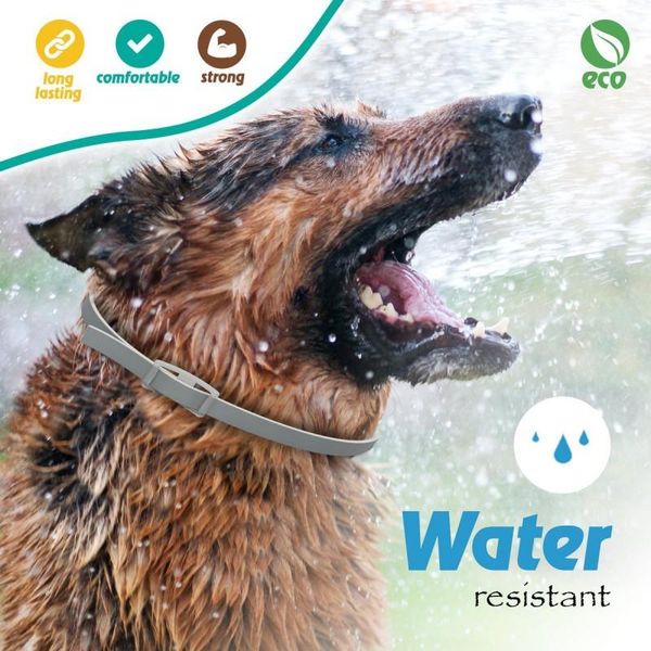 adjustable anti flea and tick neck collar for dogs cats pet 8 months protection dog collars & leashes
adjustable anti flea and tick neck collar for dogs cats pet 8 months protection dog collars & leashes