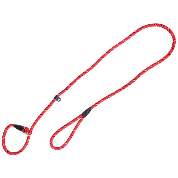 1pc durable pet dog nylon adjustable loop training leash slip lead traction rope 1.5m (red) collars & leashes
1pc durable pet dog nylon adjustable loop training leash slip lead traction rope 1.5m (red) collars & leashes