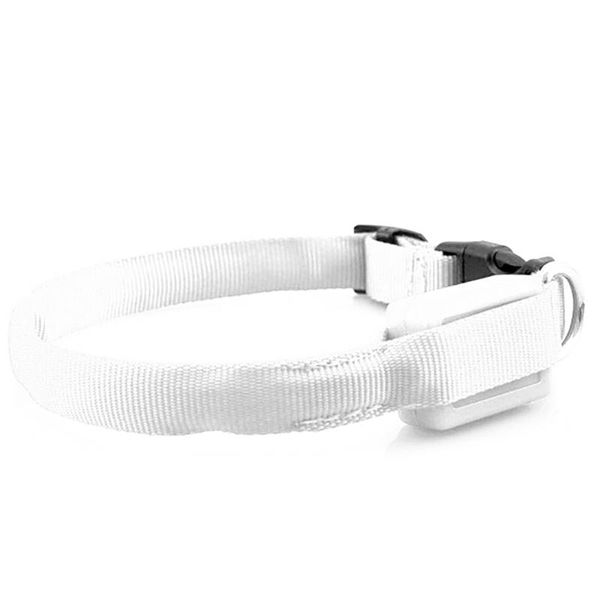 1pc nylon led pet dog collar night safety anti-lost flashing glow collars supplies for dogs white color & leashes
1pc nylon led pet dog collar night safety anti-lost flashing glow collars supplies for dogs white color & leashes