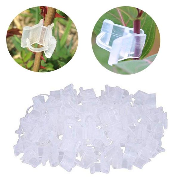 hooks & rails garden plastic plant support clips for tomato hanging trellis vine connects plants greenhouse vegetables ornament #t1p
hooks & rails garden plastic plant support clips for tomato hanging trellis vine connects plants greenhouse vegetables ornament #t1p