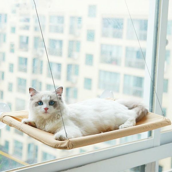 cat beds & furniture pet hanging comfortable hammock sunny window seat mount bearing strong cats nest bed shelf
cat beds & furniture pet hanging comfortable hammock sunny window seat mount bearing strong cats nest bed shelf