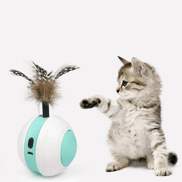 pet rolling ball automatic funny cat toy led infrared electric rotating sports usb charging toys
pet rolling ball automatic funny cat toy led infrared electric rotating sports usb charging toys