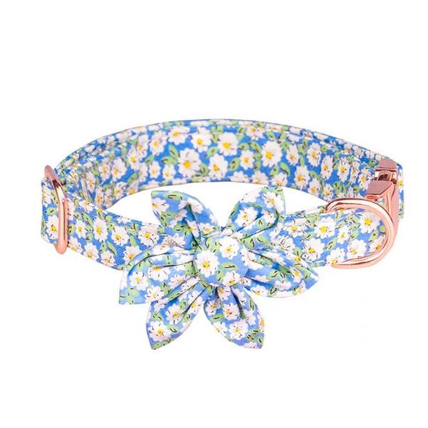cat collars & leads skin-friendly 3 sizes exquisite pet collar for dog puppy necklace
cat collars & leads skin-friendly 3 sizes exquisite pet collar for dog puppy necklace