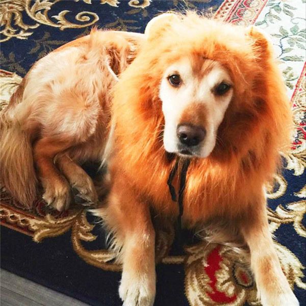 dog apparel plush large products furry pet costume lion mane wig for cat halloween false hair dressed lions pets accessories dogs
dog apparel plush large products furry pet costume lion mane wig for cat halloween false hair dressed lions pets accessories dogs