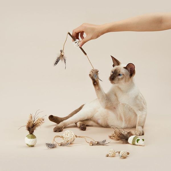 genuine petkit pet toys cat toy supplies kitten molar rod tooth cleaning stick catnip teaser
genuine petkit pet toys cat toy supplies kitten molar rod tooth cleaning stick catnip teaser