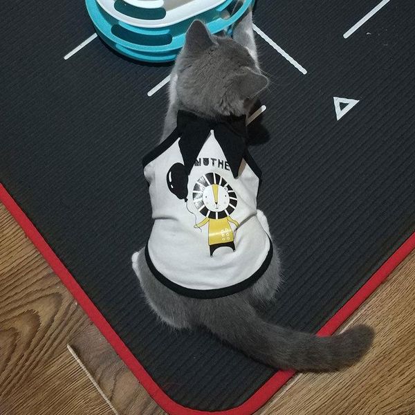 spring cat clothes breathable cartoon animal pattern pet small dogs thin comfortable camisole costumes
spring cat clothes breathable cartoon animal pattern pet small dogs thin comfortable camisole costumes