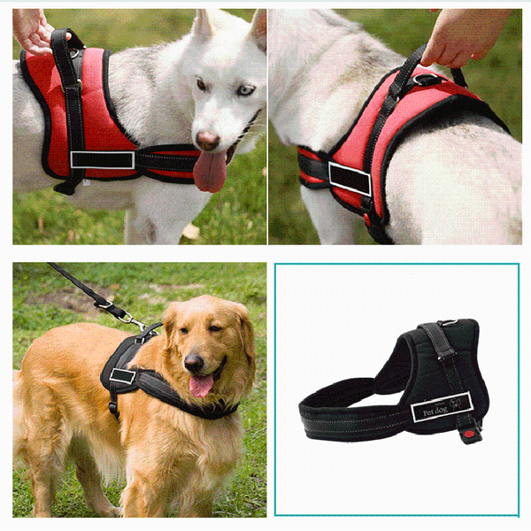 dog collars & leashes harness reflective breathable adjustable pet for vest id custom patch outdoor walking supplies
dog collars & leashes harness reflective breathable adjustable pet for vest id custom patch outdoor walking supplies