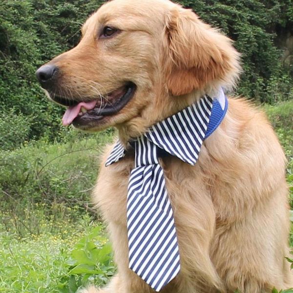 dog apparel ties, pet formal classy neckties easy to wear puppy adjustable grooming neck strap collar suitable for pets of all sizes
dog apparel ties, pet formal classy neckties easy to wear puppy adjustable grooming neck strap collar suitable for pets of all sizes
