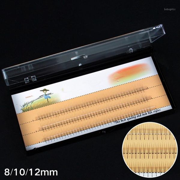 natural soft 1 set big capacity 2d eyelash extensions 0.07mm thickness true mink grafting eyelashes false lashes eye tools1
natural soft 1 set big capacity 2d eyelash extensions 0.07mm thickness true mink grafting eyelashes false lashes eye tools1