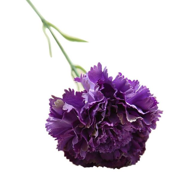 decorative flowers & wreaths 44cm wedding party garden fake artificial carnations small floral festival gift diy flower head simulation bouq
decorative flowers & wreaths 44cm wedding party garden fake artificial carnations small floral festival gift diy flower head simulation bouq